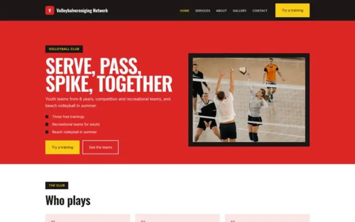 Website für Volleyballverein